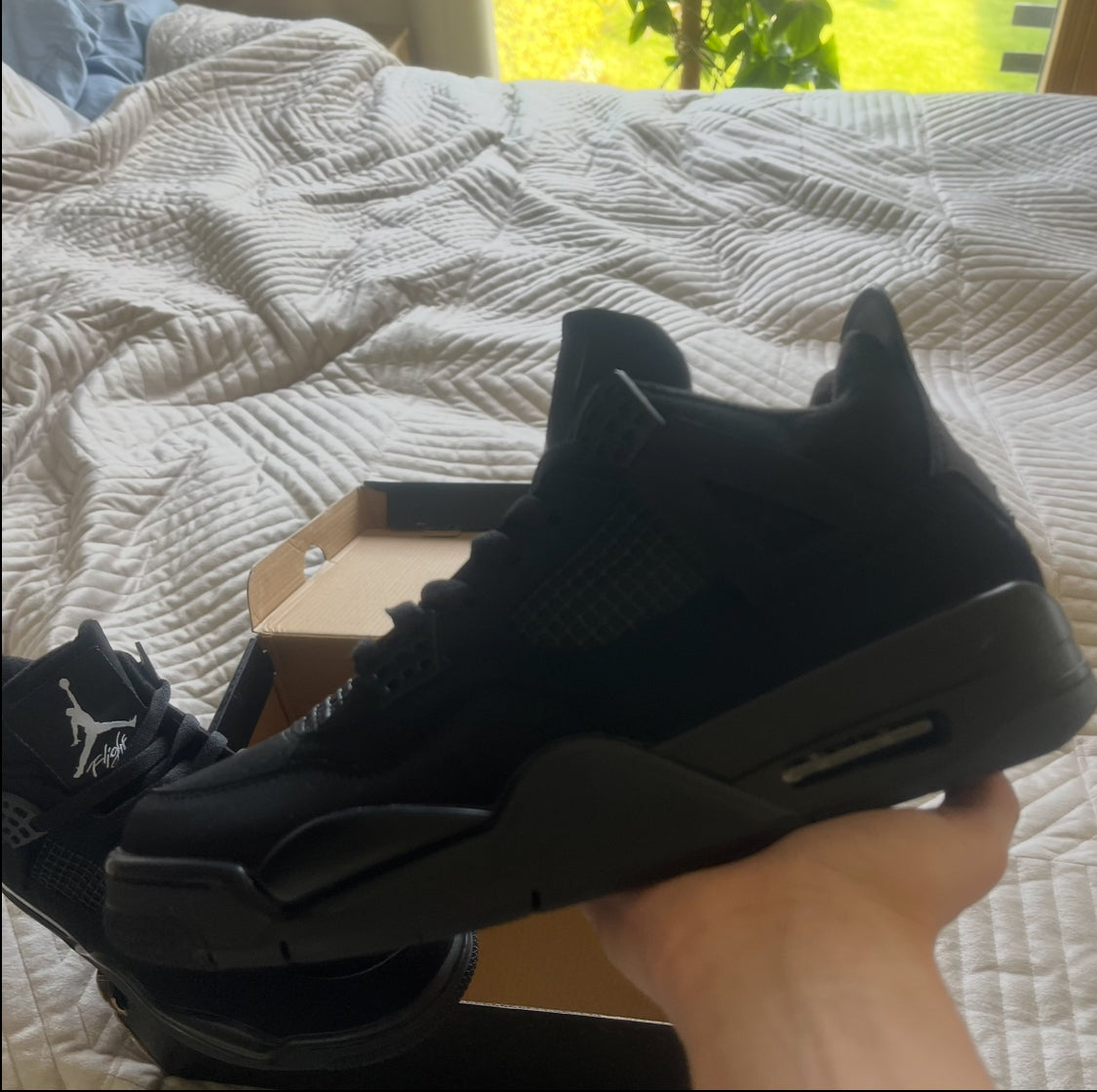 4 Black Cat