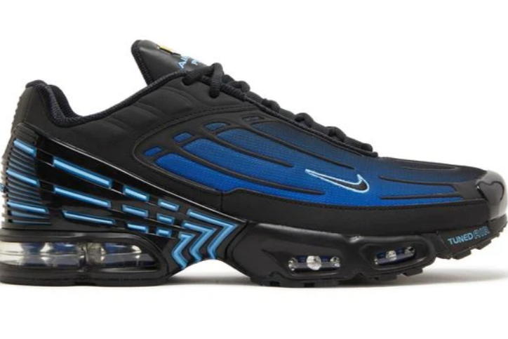 BLUE RACER